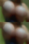 Horny couple nudes
